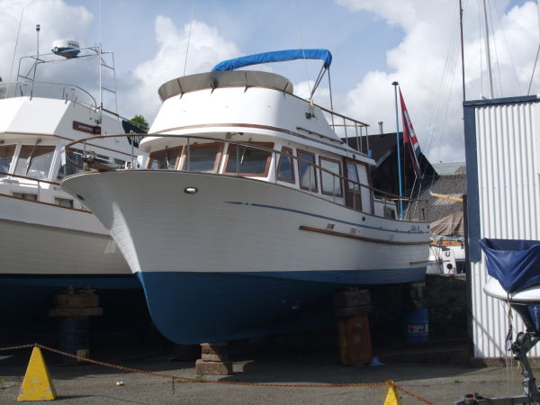 Albin 36