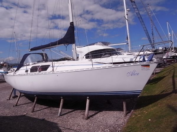 Gibsea 362