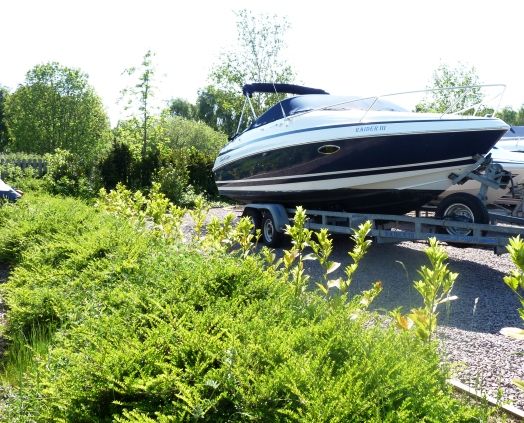 Chris Craft 215