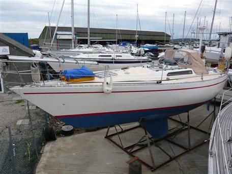 Oyster 37