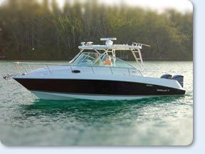 Wellcraft 340 Coastal