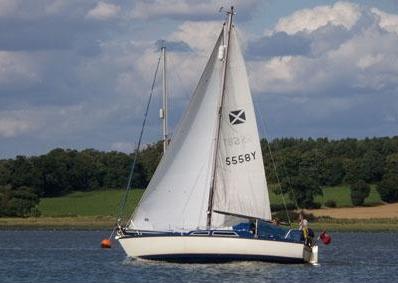 Maxi 77