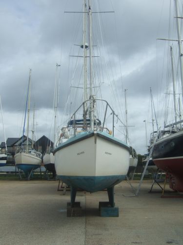 Colvic sailor