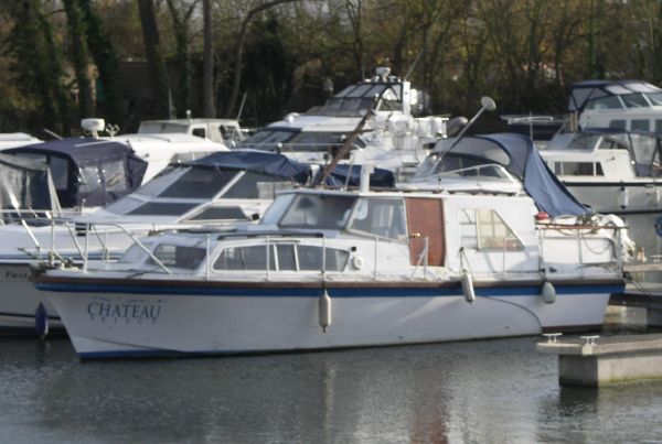 Senior 31
