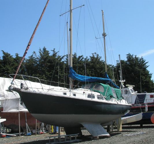 Westerly Pentland 31