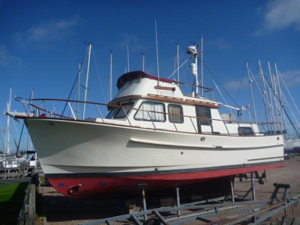 TRITON