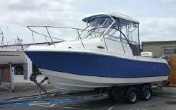 Atlantic 245