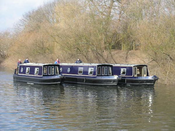 Sea Otter 31