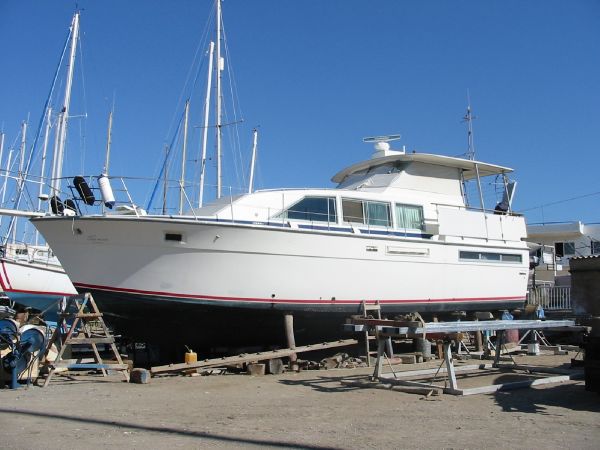 Bertram 42