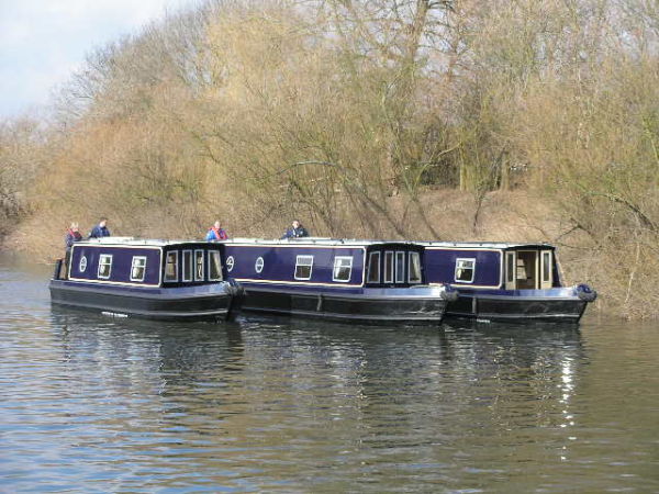 Sea Otter 51 HSE