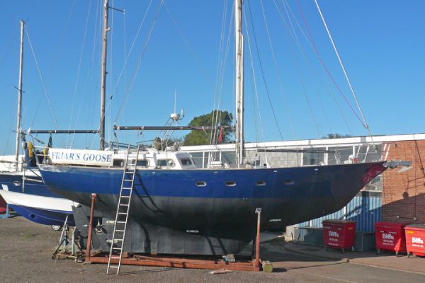 Hedoniste 44