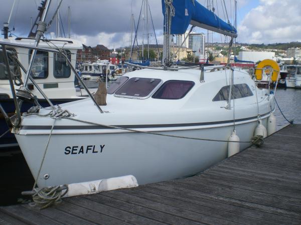 Hunter Ranger 245