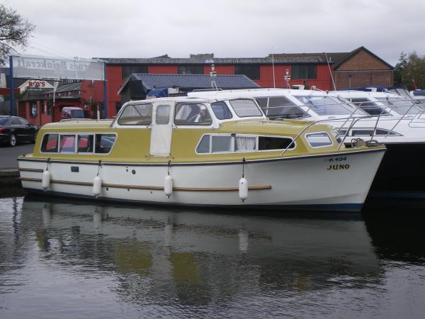 Broom Skipper