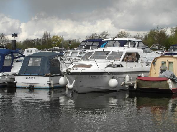 Haines 31