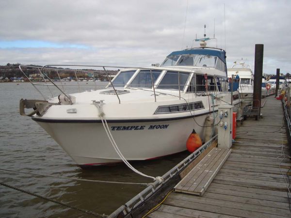 Broom Ocean 42