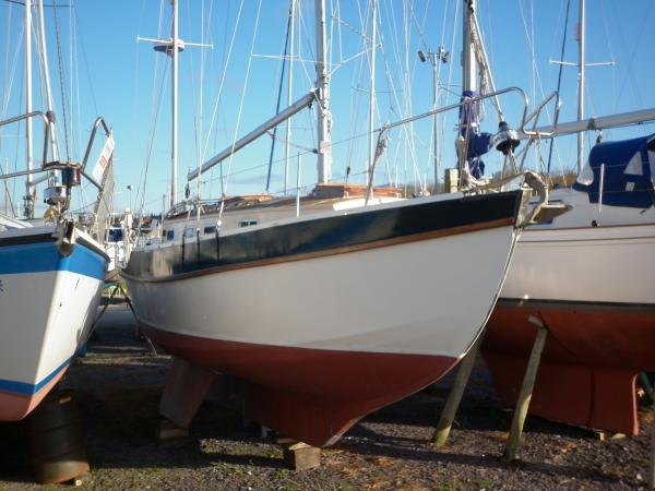 Golden Hind 31
