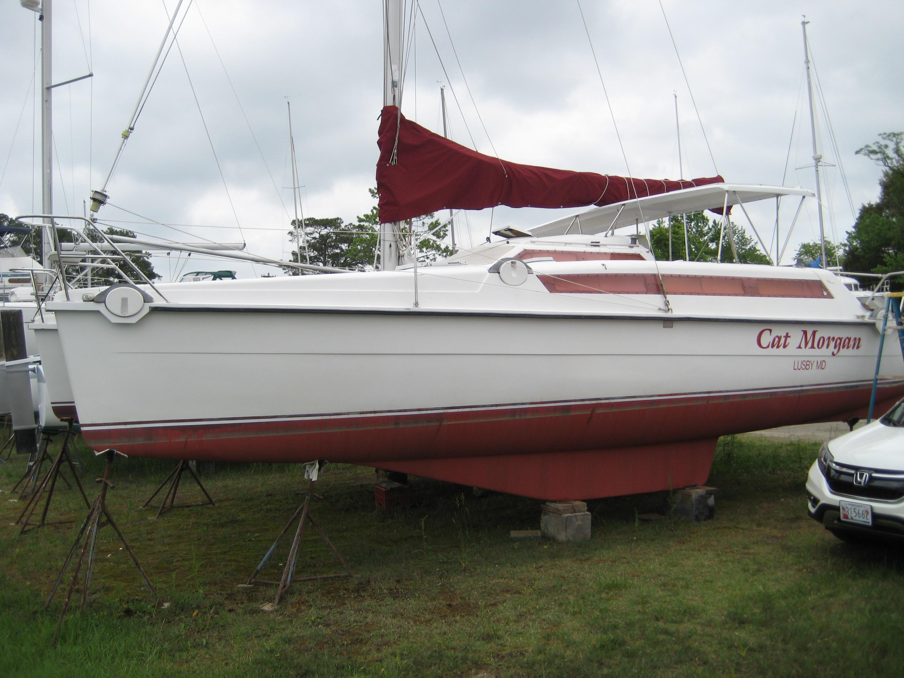edel 26 catamaran for sale