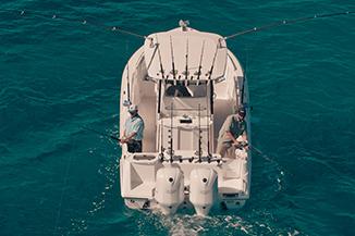 2015 Everglades 295 Pilot — Manufacturer Provided Image